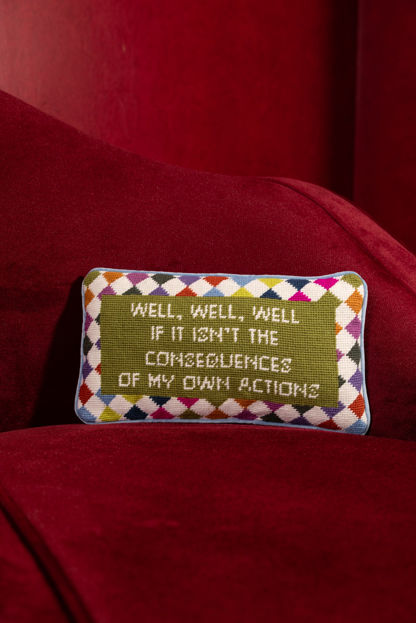 Well Well Well Needlepoint Pillow